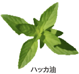 ハッカ油