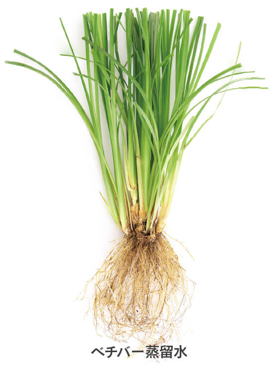 ベチバー蒸留水